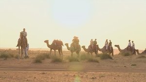 Episode 21