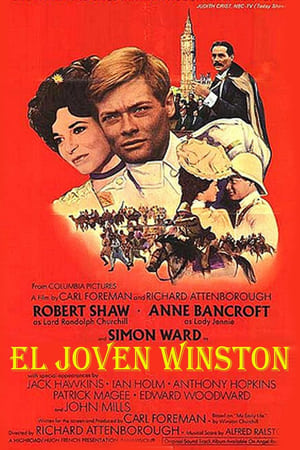 Poster El joven Winston 1972