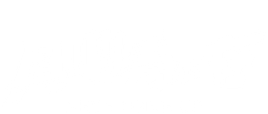 Never Give Up — Logos 3