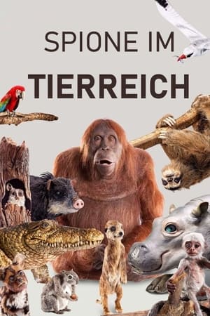 Poster Spione im Tierreich 2017