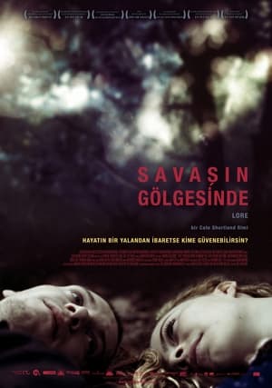 Poster Savaşın Gölgesinde 2012