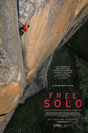 poster Free Solo