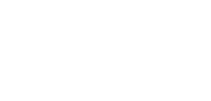 SX3 Academy