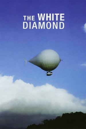 Poster The White Diamond 2004