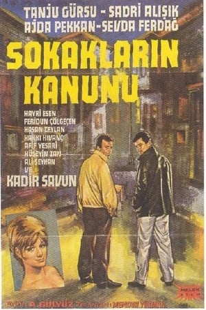 Sokakların Kanunu poster