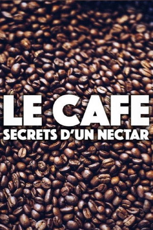 Kaffee - Geheimnisse eines Wundertranks 4