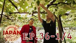 Episodio 36