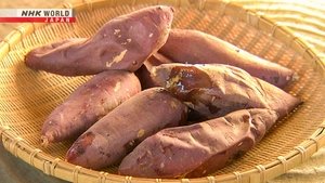 Japanology Plus: 10×2