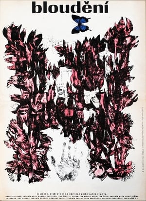 Poster Bloudění 1966