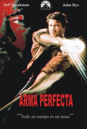 Poster Arma perfecta 1991