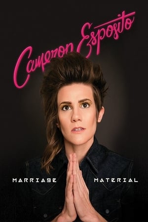 Poster Cameron Esposito: Marriage Material (2016)