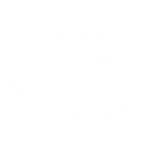 Little Big Films