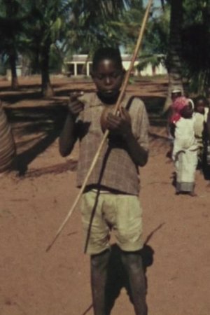 Chopi musicians and dancers in the Banguza tribal kingdom, Zavala district