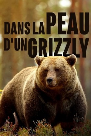 Image Grizzlys hautnah