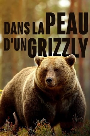 Image Dans la peau d'un grizzly