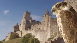 Wild Castles Carcassone: The Realm of the Owl