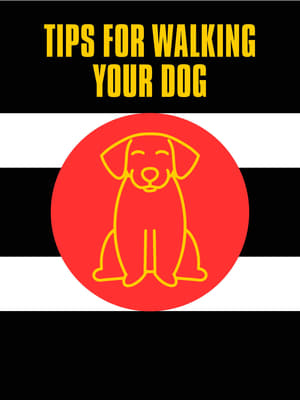 Poster Tips For Walking Your Dog (2023)