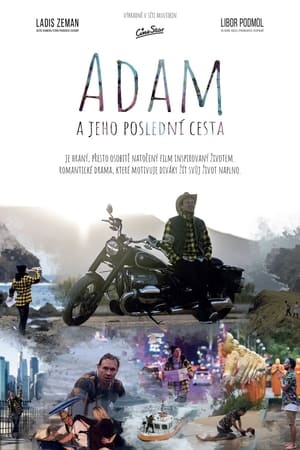 Poster Adam a jeho poslední cesta 2022