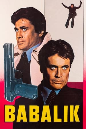 Poster Babalık (1974)