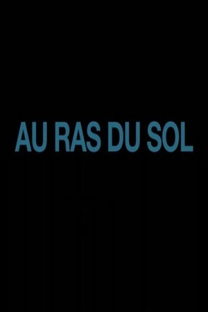 Au ras du sol