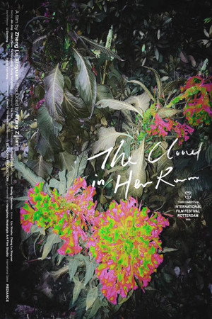 The Cloud in Her Room 25