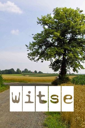 Witse Witse