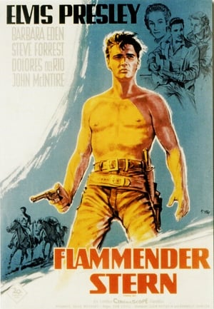 Flammender Stern 1960