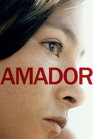 Poster Amador (2010)