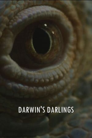 Poster Darwin's Darlings (2023)