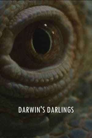 Poster Darwin's Darlings 2023