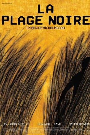 Poster La Plage noire 2001