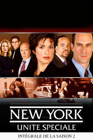 New York Unité Spéciale - Saison 2