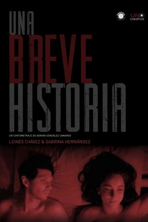 Una breve historia