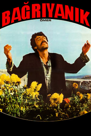 Poster Bağrıyanık (1980)