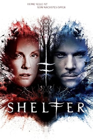 Poster Shelter 2010