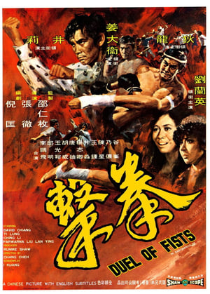 Poster 拳击 1971