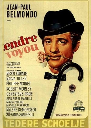 Poster Tendre voyou 1966