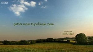 Image Gather more to pollinate more