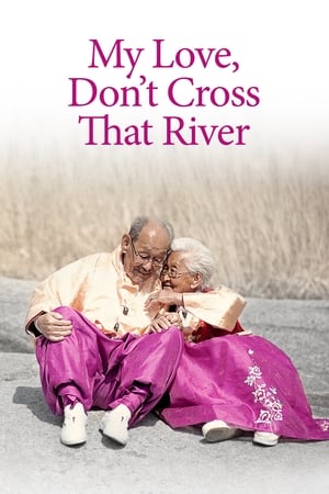 Poster My Love, Don't Cross That River (2014)