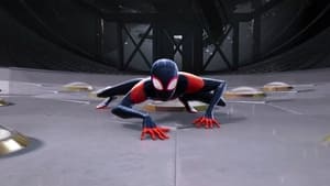 Spider Man: Into the Spider Verse