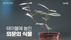 Épisode 7