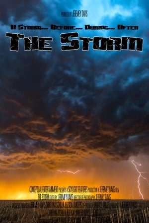 Poster The Storm (2007)