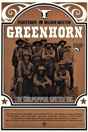Poster Greenhorn 1972