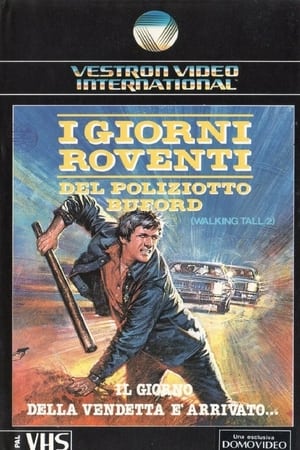 Poster I giorni roventi del poliziotto Buford 1975