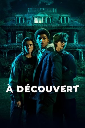 À découvert movie poster