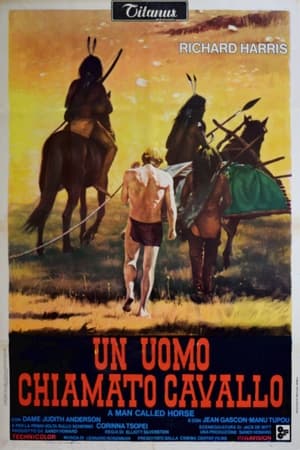 Poster di Un uomo chiamato cavallo