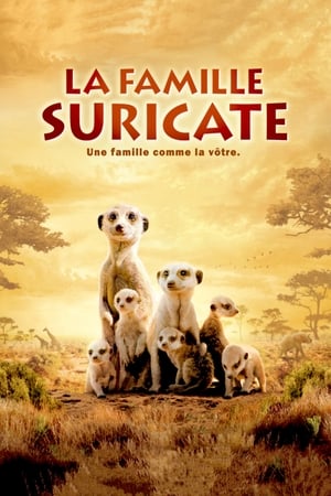 Poster La Famille Suricate 2008