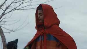 Wolf's Egg still 1