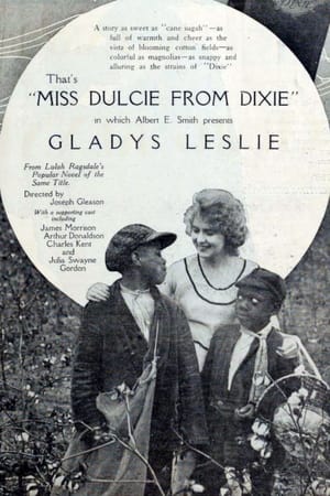 Poster Miss Dulcie from Dixie (1919)