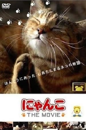 Image 猫咪物语